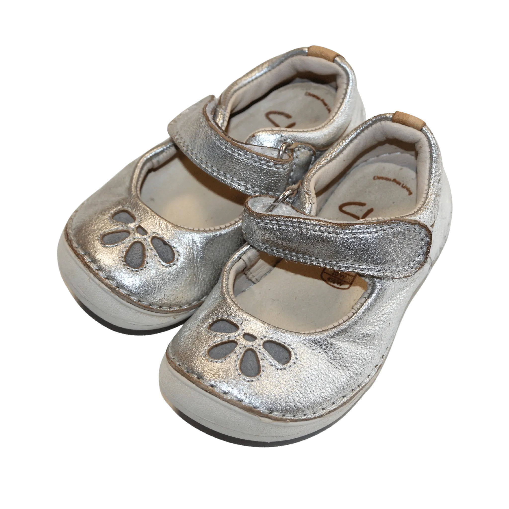 Eden Silver Shoes