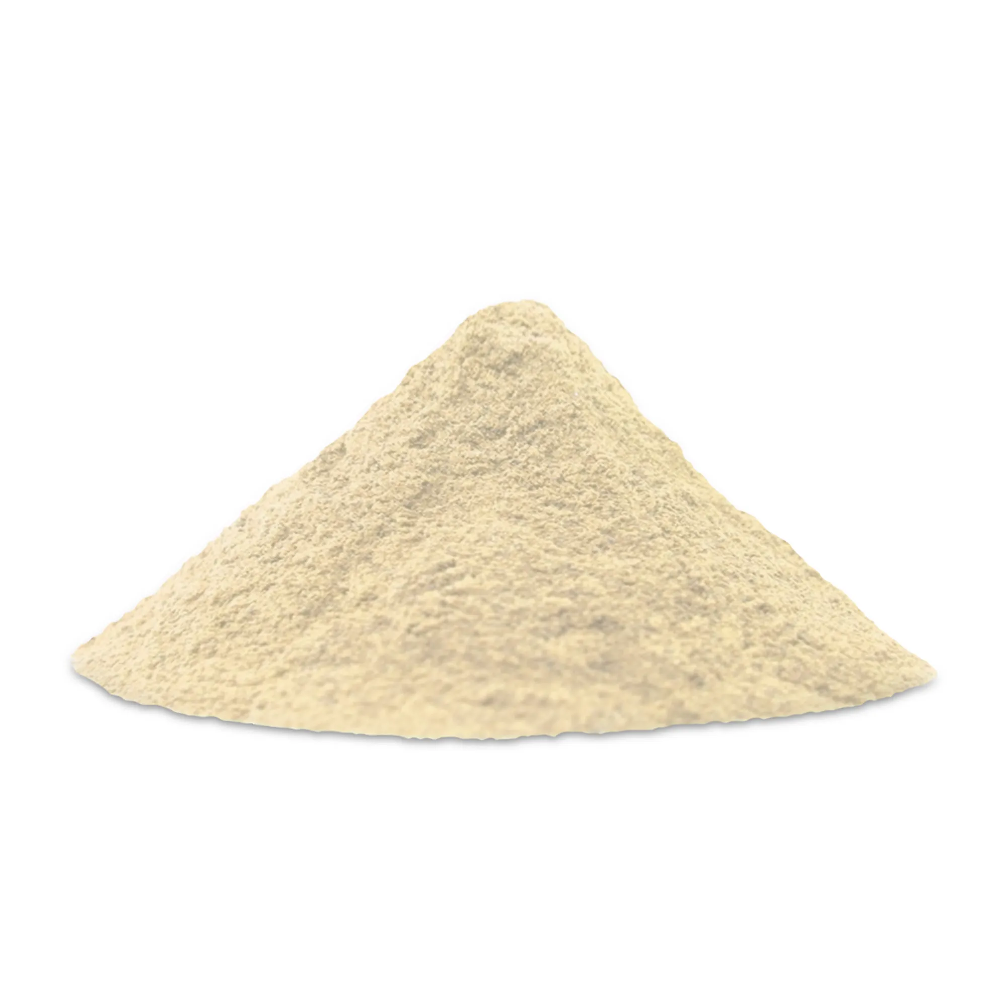 Ginger Powder