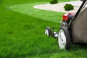 Grass Cut Services