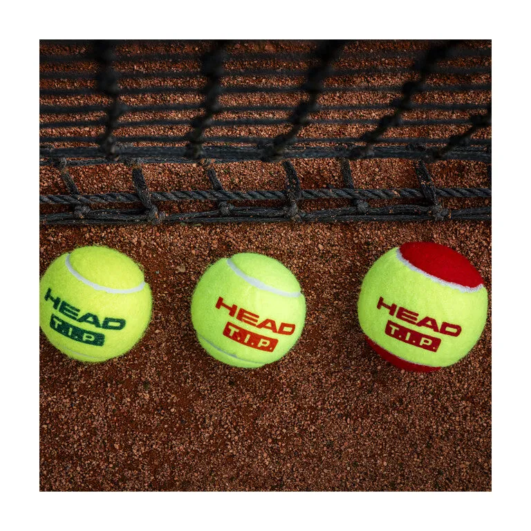 Head T.I.P Green 3 Tennis Balls (1 Can)