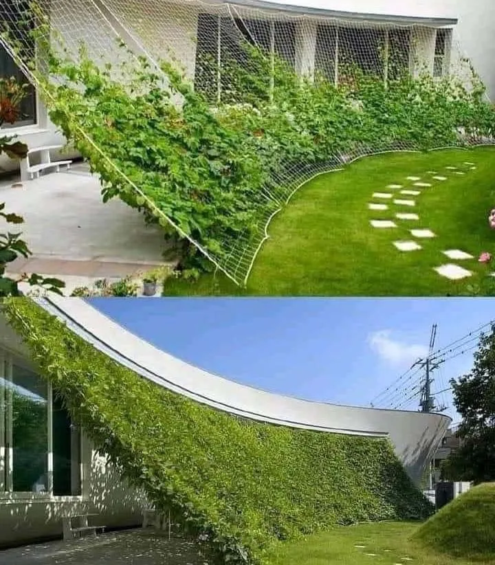 MIGHTY109 Trellis Netting