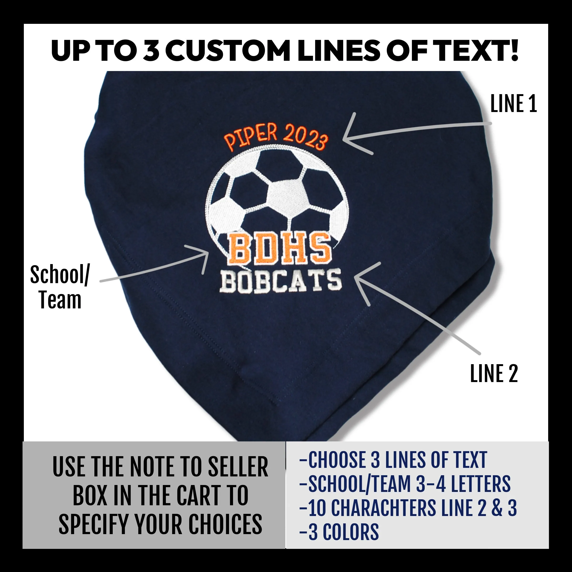 Soccer Stadium Blanket- Personalized with Custom Colors